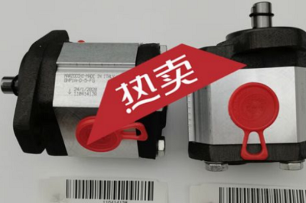 意大利Marzocchi齒輪泵GHP1A-D-7-FG，馬祖奇雙聯齒輪泵ALP2BK1-D-12-FG-V